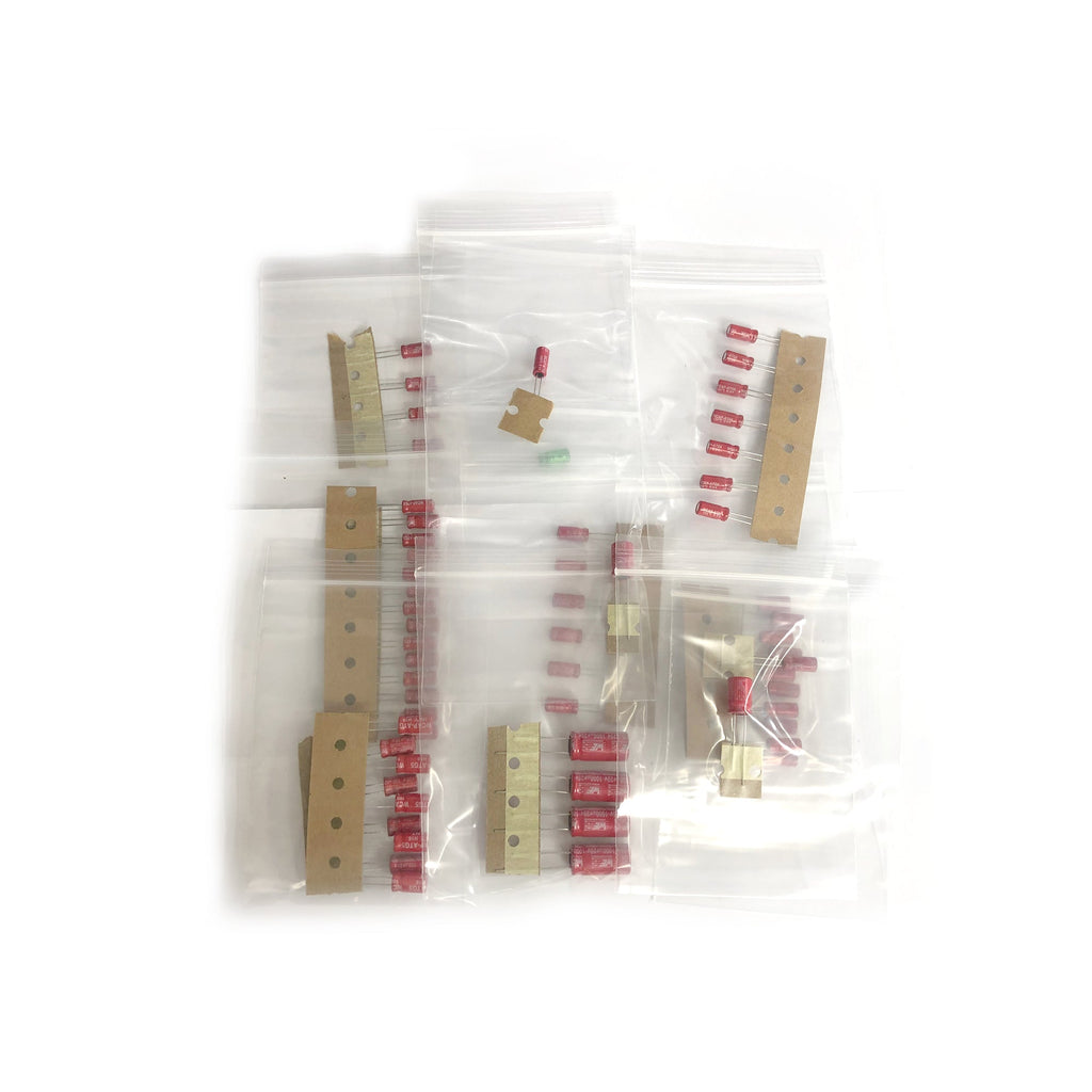 Roland RE-301 Electrolytic Capacitor Re-Cap Kit
