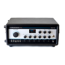 EF-X3 Tolex Enclosure Chorus Echo with BBD Analog Chorus & Spring Reverb